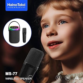 Generic Haino Teko MS-77 Portable Bluetooth Speaker